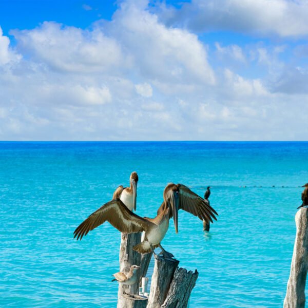 Isla Mujeres Tour SunhorizonDMC