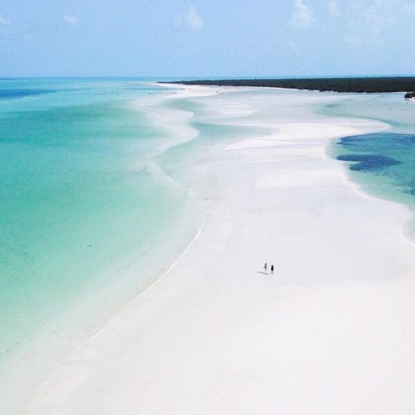 Jungle Tour Adventure