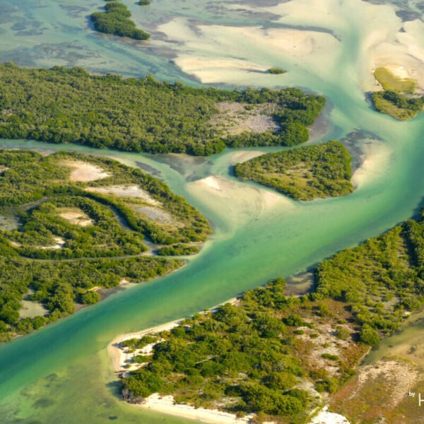 Jungle Tour Adventure