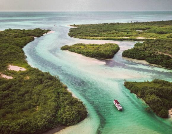 Jungle Tour Adventure