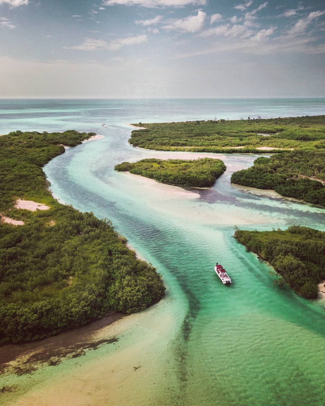 Jungle Tour Adventure