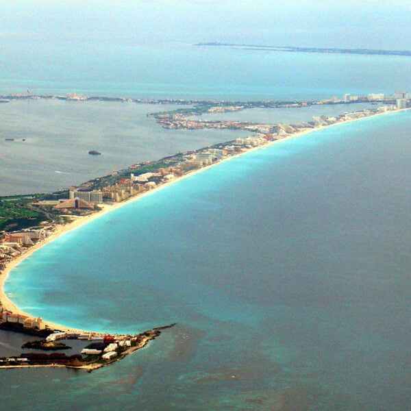 Jungle Tour Adventure