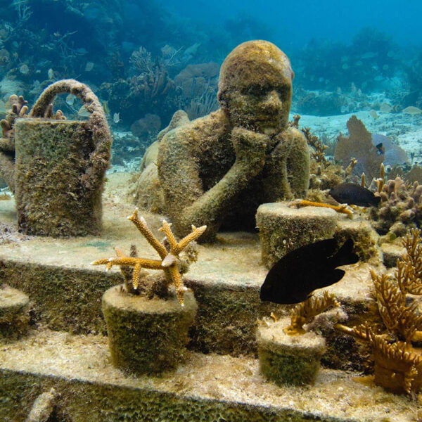 Jungle Tour Adventure