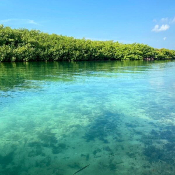 Nichupte Tour in Cancun SunhorizonDMC