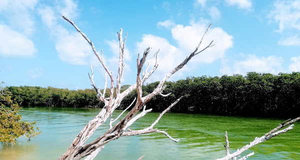 Nichupte Tour in Cancun SunhorizonDMC