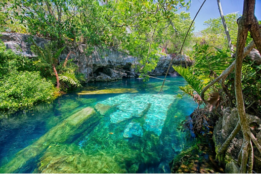 Cenote Azul and Cenote Cristalino Tour SunhorizonDMC